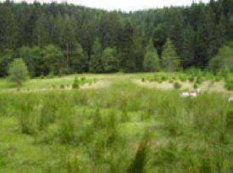 Land for sale in Sibiu & Valcea! Sibiu